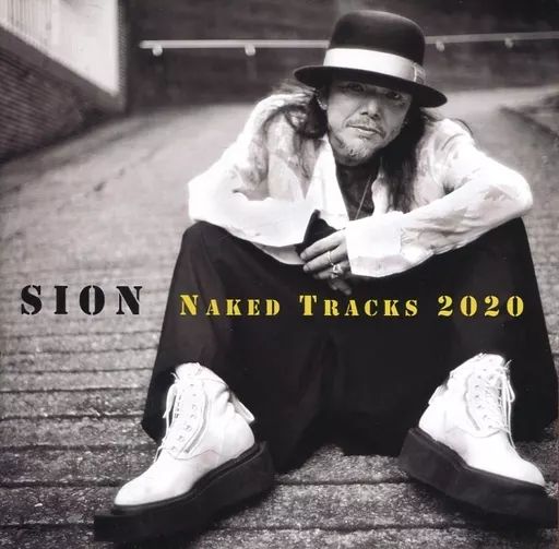 SION Naked Tracks 2・3・1 セット 一枚は未開封 中古】邦楽CD SION / naked tracks 2020 - メルカリ