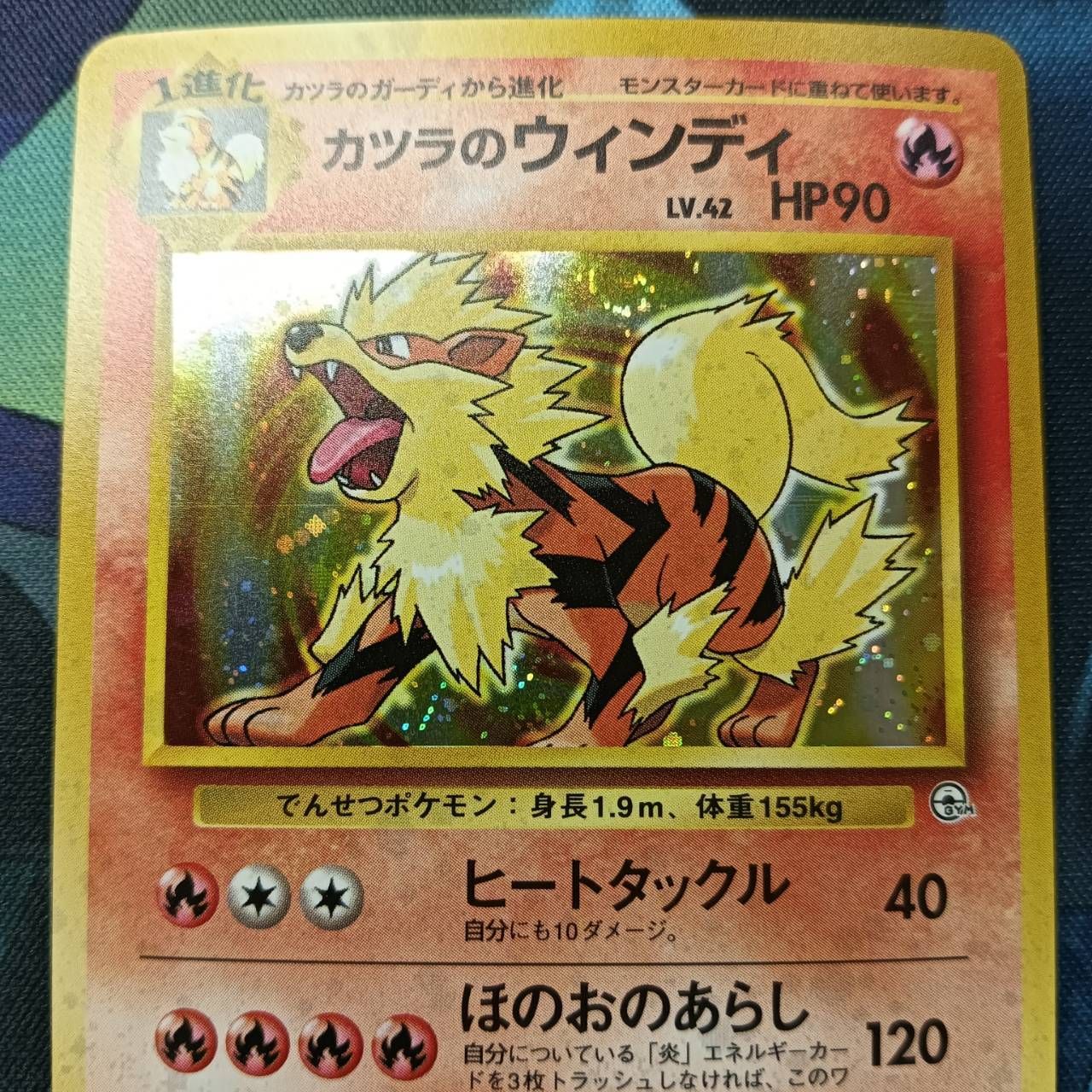 ポケモンカード Bランク カツラのウインディHolo LV42HP90NO059