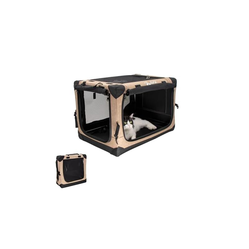 アビタス 英文会計部門のみ+コースの説明書一式 クリアファイル 英語