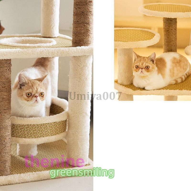 多頭飼い 組立簡単LFY02大人気