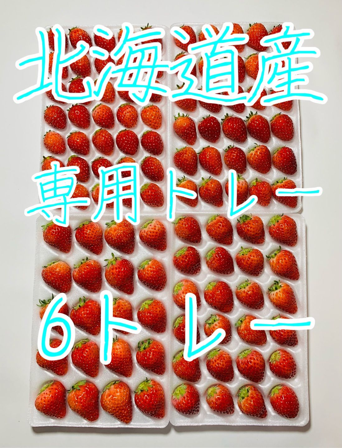 夏いちご 北海道産 6トレー クール便 いちごリーマン