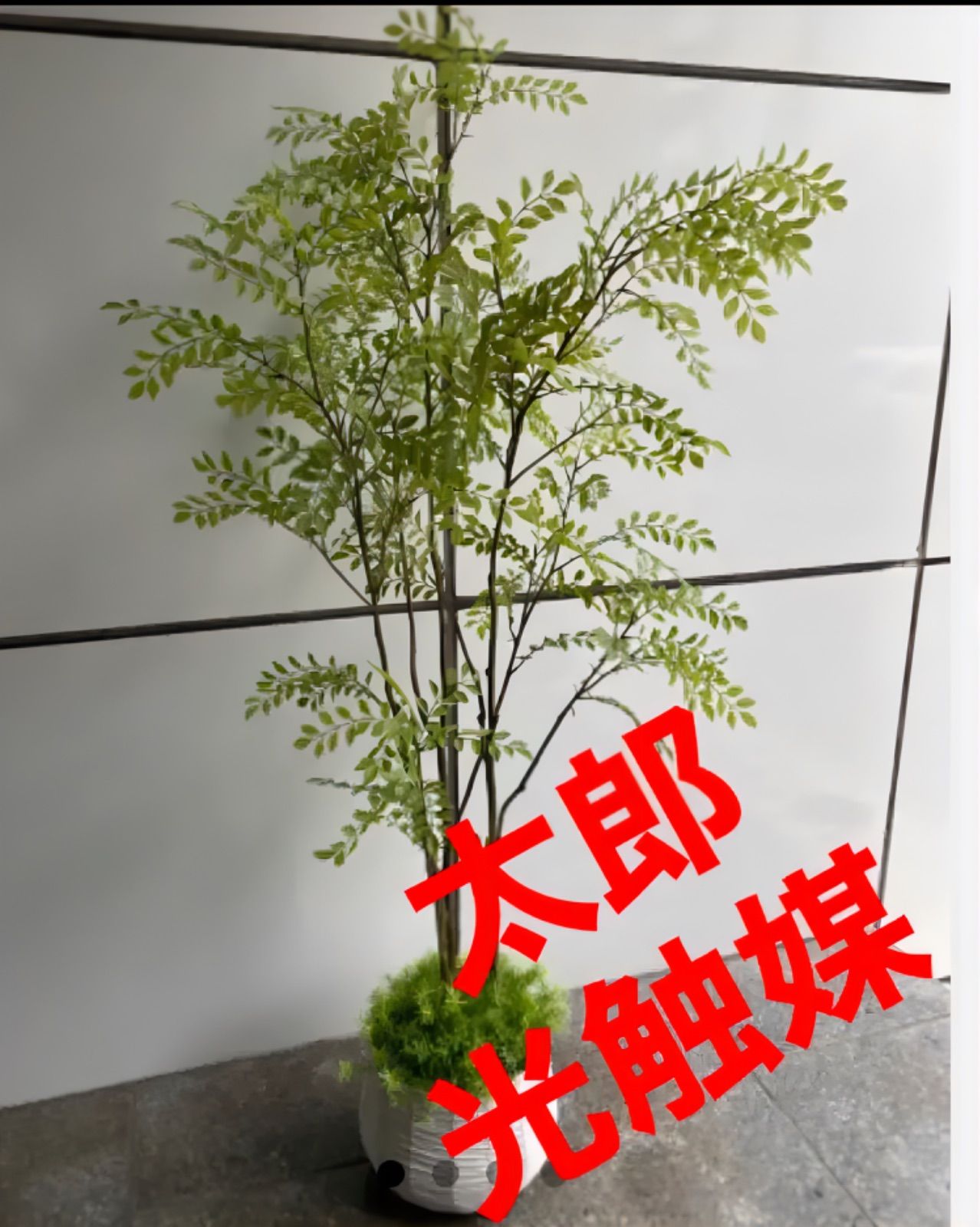 光触媒　人工観葉植物　ウォールグリーン　フェイクグリーン　シマトネリコ140 トネリコ フェイクグリーン 大型 人気 人工観葉植物 おしゃれ リアル