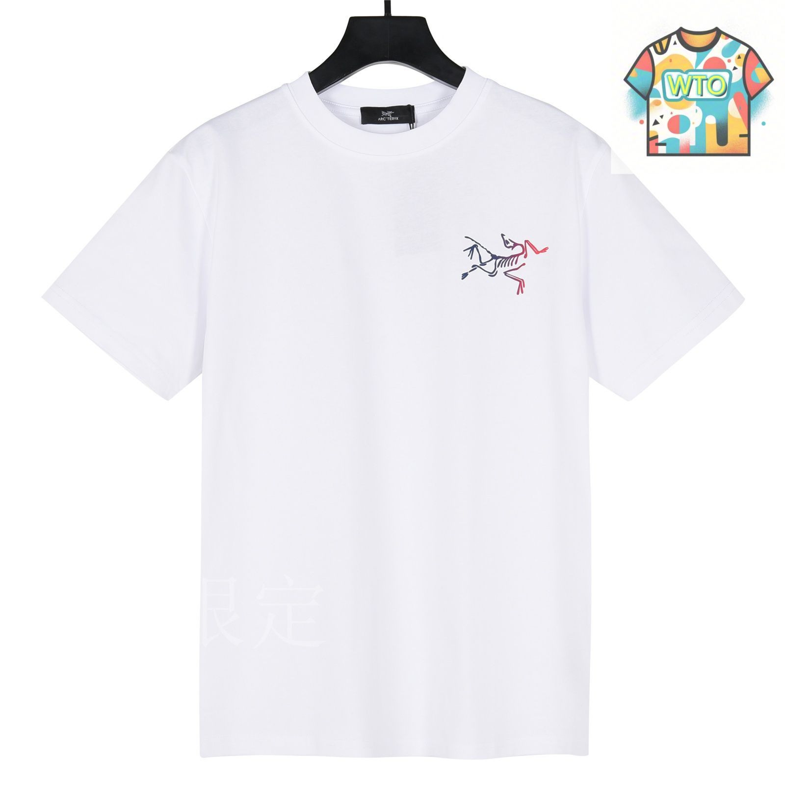 今日WTO】ARCTERYX 2025 カラーグラデーションプリント T シャツ