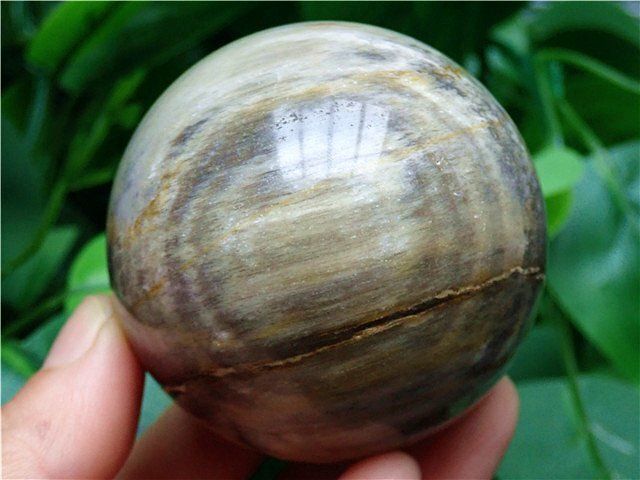 AAA級☆天然木化玉丸玉B81U1/59U05B - メルカリ