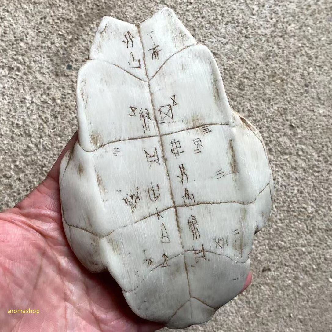 中国美術 紫泥 刻文字 亀甲羅 一対(HA532) 中国美術 紫泥 刻文字 亀甲羅 一対(HA532) - メルカリ