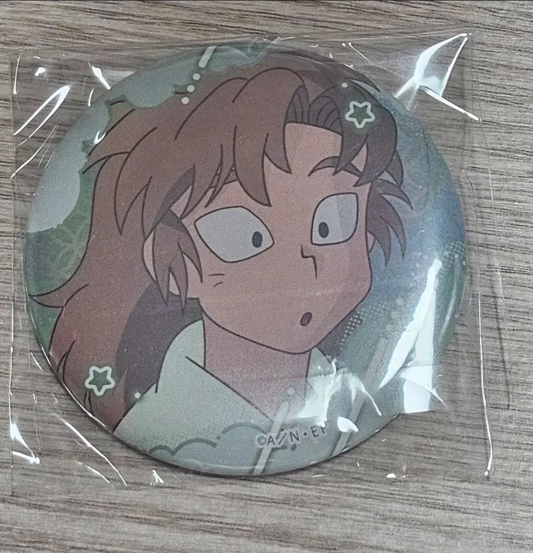 即日発送】忍たま乱太郎 フェイスバッジ 善法寺伊作 食満留三郎 13個