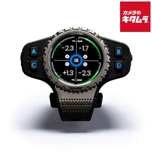 ストライド デッキセット ナイトローゼ プレミアム 未開封 2025