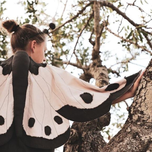 コスチューム ハロウィン ヌメロ74 バタフライウィング Powder  