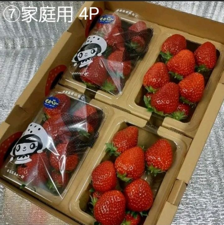 ④4/3 いろいろなサイズ4P モカベリー イチゴ 苺 いちご 果物 家庭用