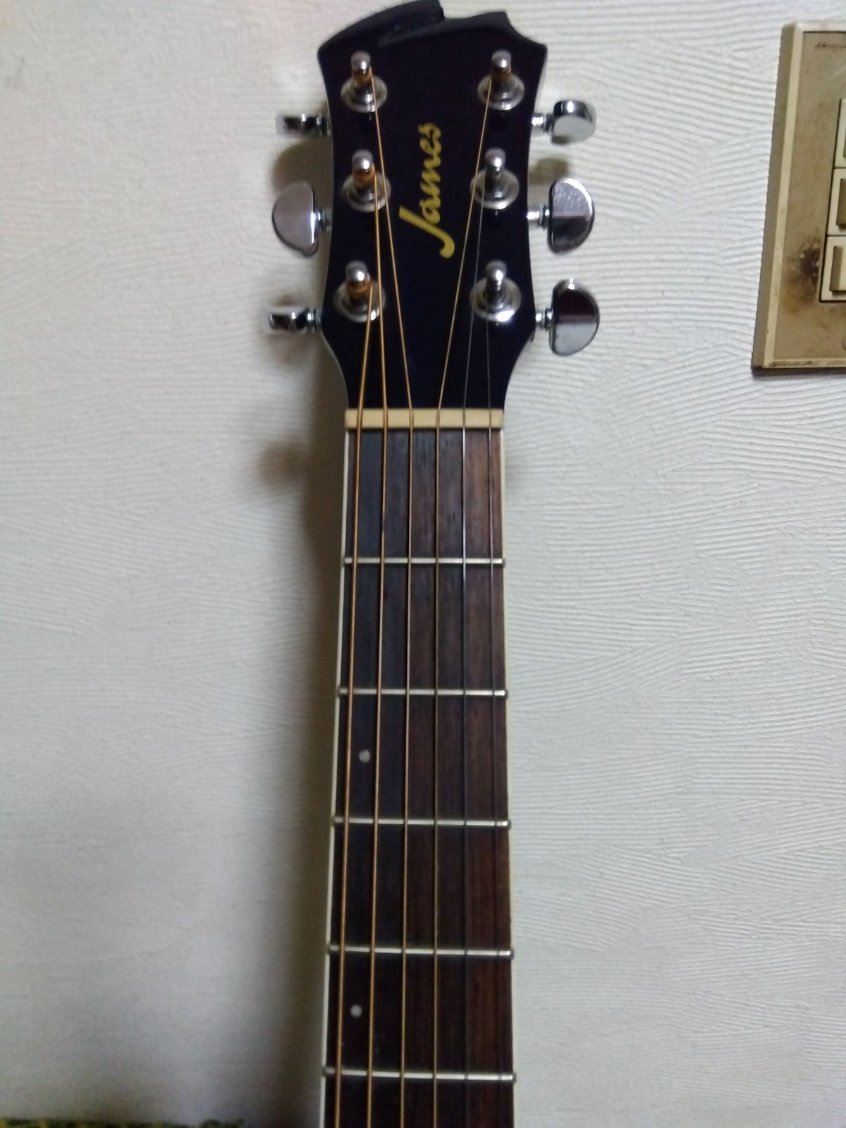 エレアコ　James JE450/SBB James JE450 LRB ジェームス エレアコ ギター レッドカラー