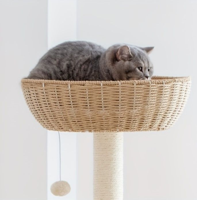猫アクティビティツリー