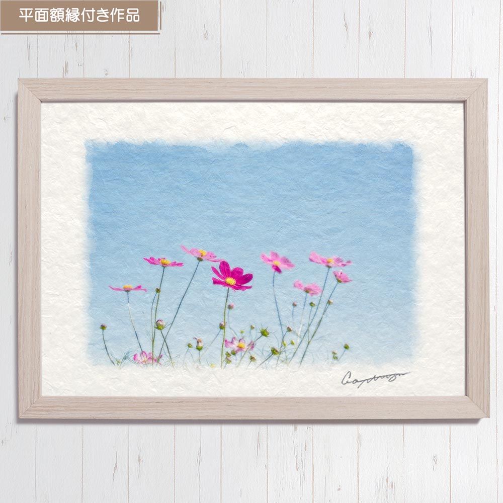 和紙の絵写真 「青空と赤いコスモス」 平面額縁付き 44x32cm 絵画 