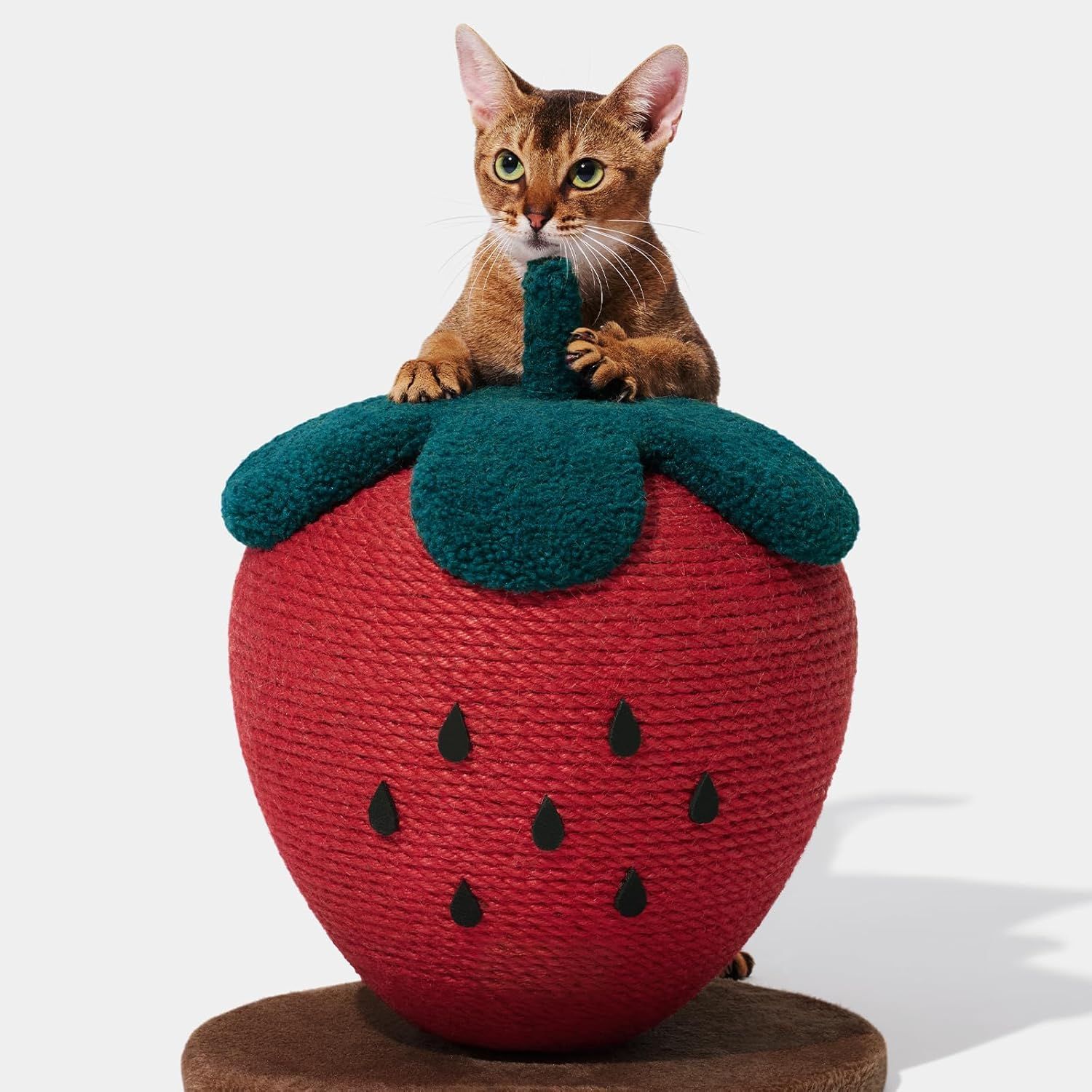 猫 爪研ぎ