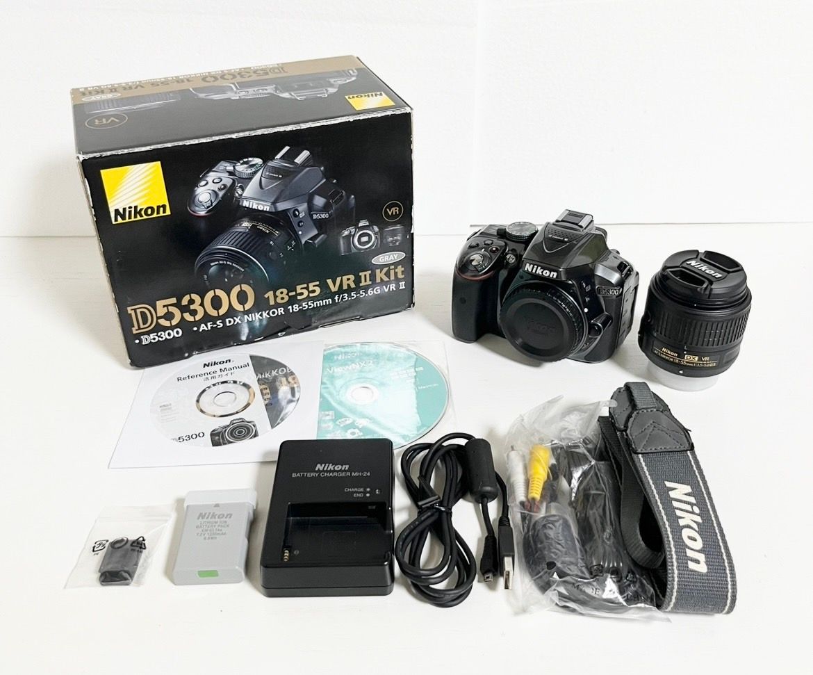 ニコン(Nikon) デジタル一眼カメラ D5000シリーズ D5300 18-55