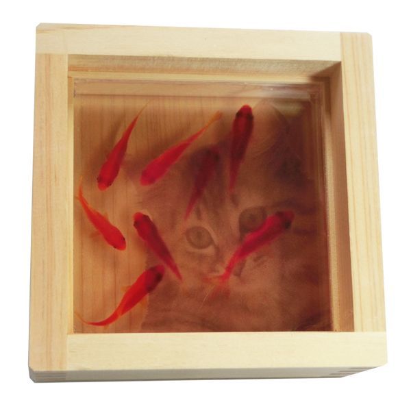 めだか メダカ プレゼント ギフト 金魚 アート 生き物 フィギュア 水槽