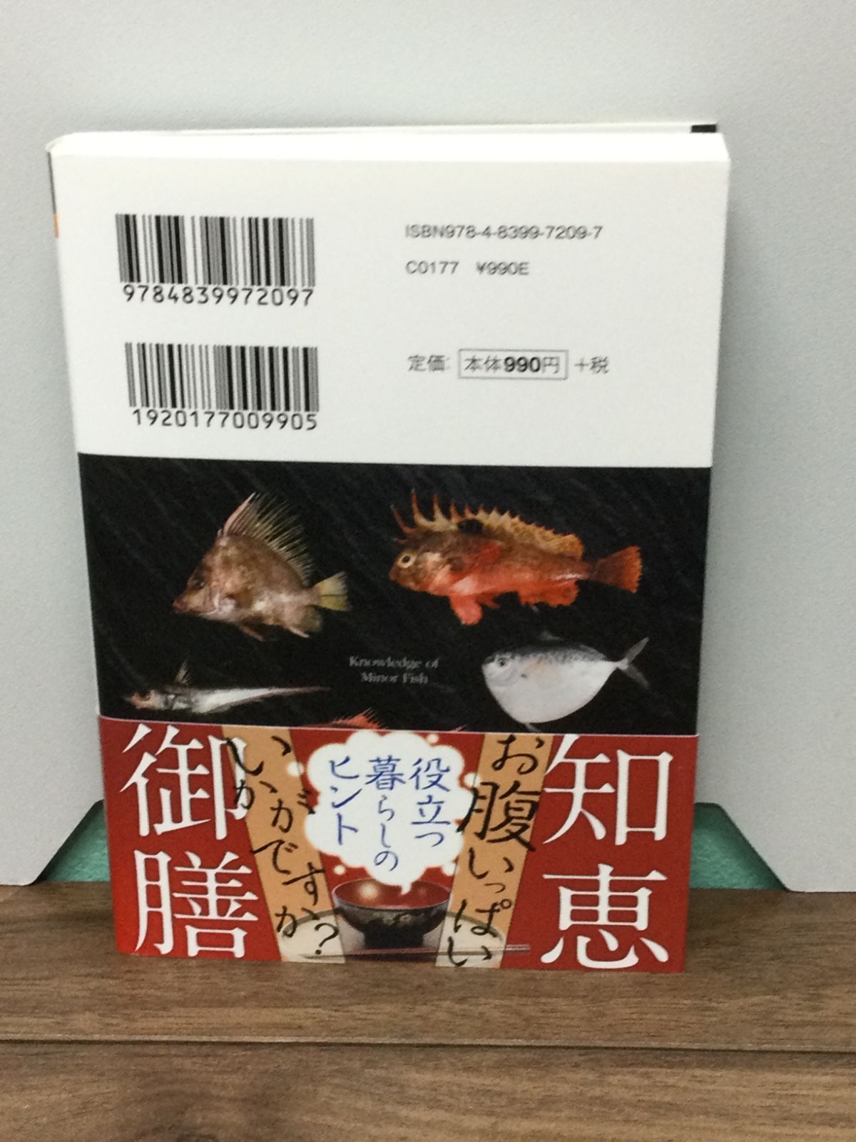 マイナビ文庫】美味しいマイナー魚図鑑ミニ ぼうずコンニャク
