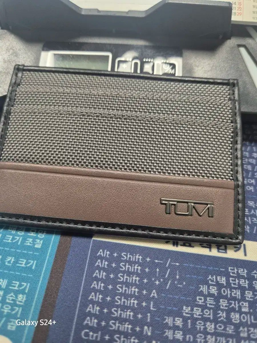 東京ディズニーランド ミレニアム記念パスポート 額縁入 未使用 JCB