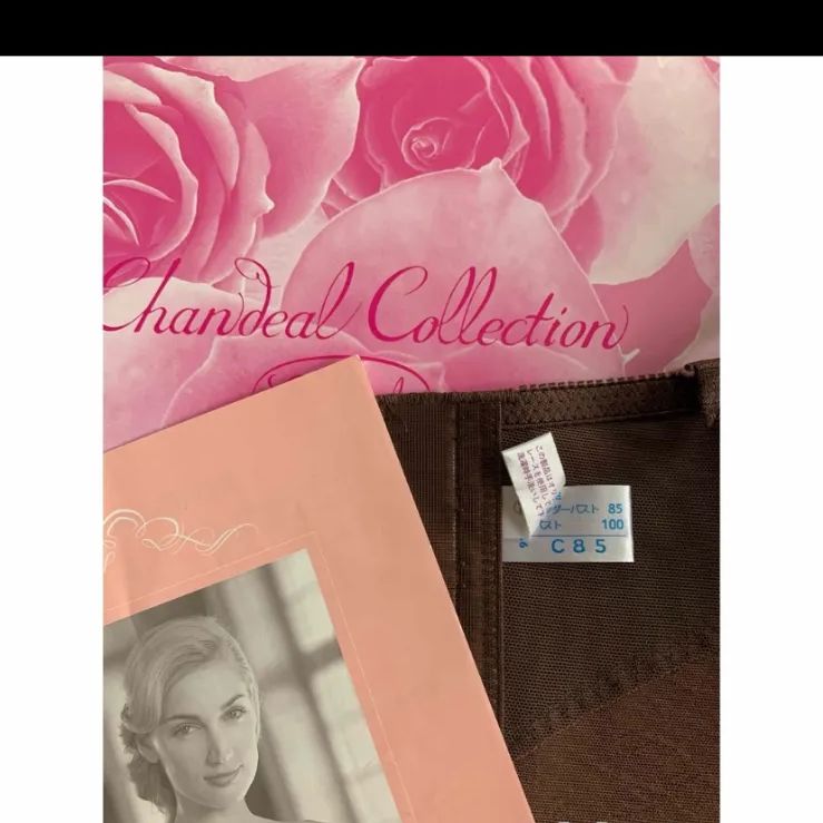 シャンデールスリーインワンモカブラウンC85