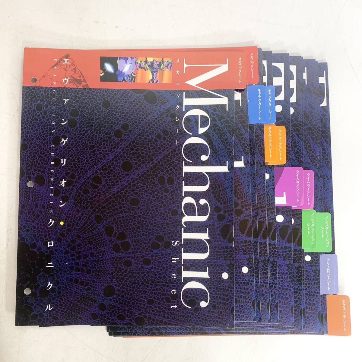 エヴァンゲリオン・クロニクル 専用バインダー 3冊 GAINAX総監修