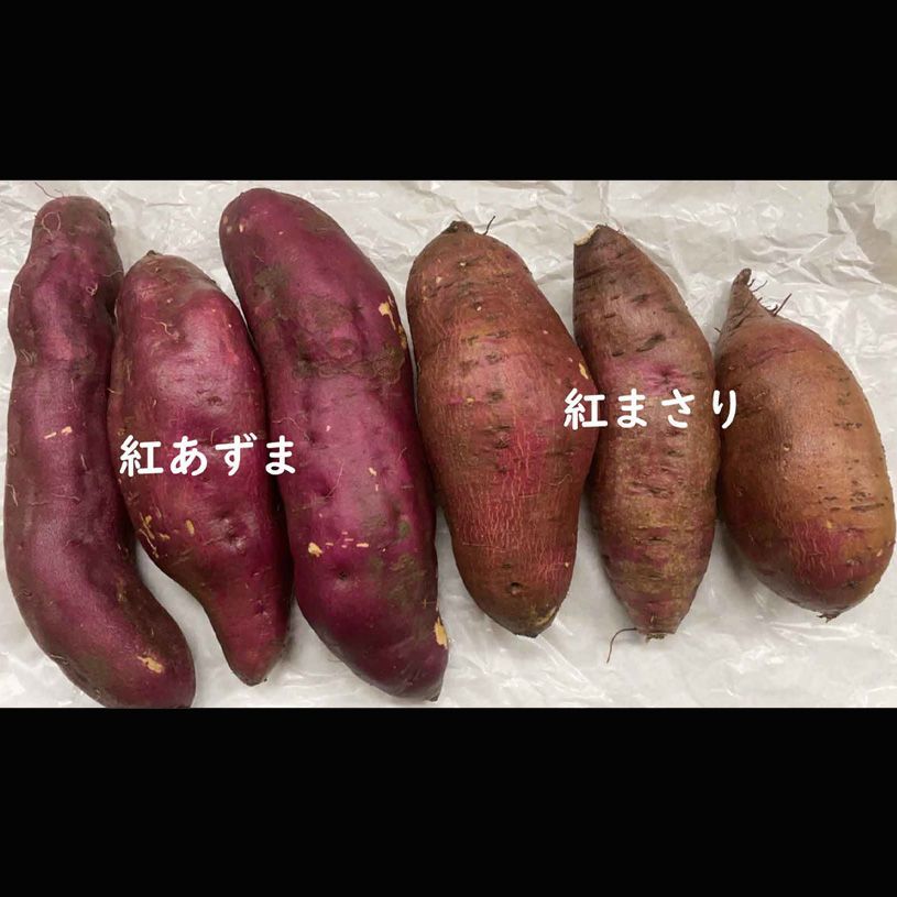のサムネイル