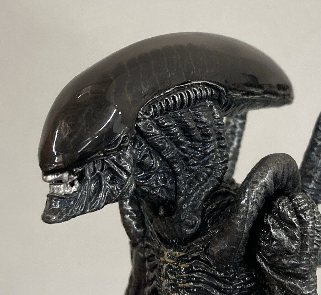 バンダイ S.H.MonsterArts エイリアンVSプレデター エイリアン ウォーリア WWW_STEELWINDOWSANDDOORS_COM