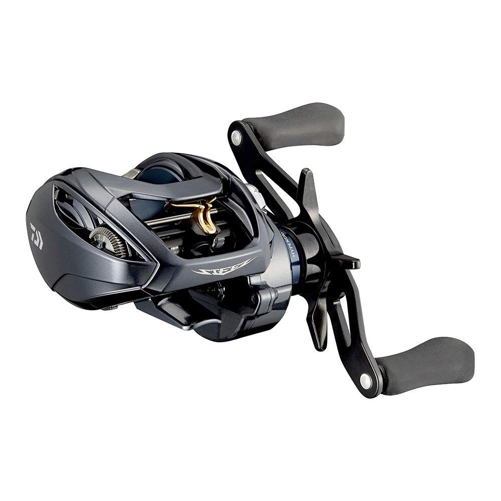 ダイワ DAIWA 21 スティーズ A TW HLC 7.1L