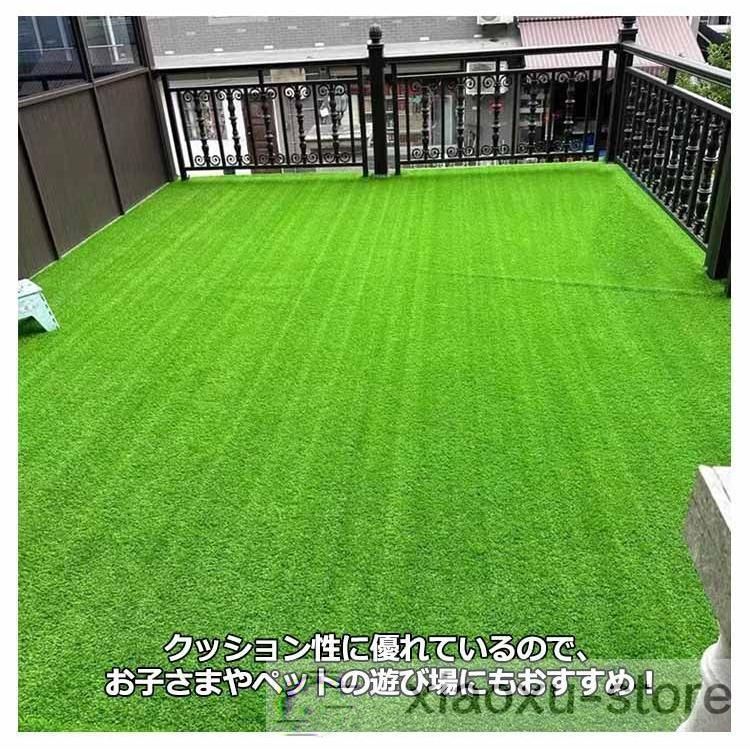 雑草 芝生