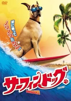 値下げまとめ売り36本レアサーフィン付録DVD