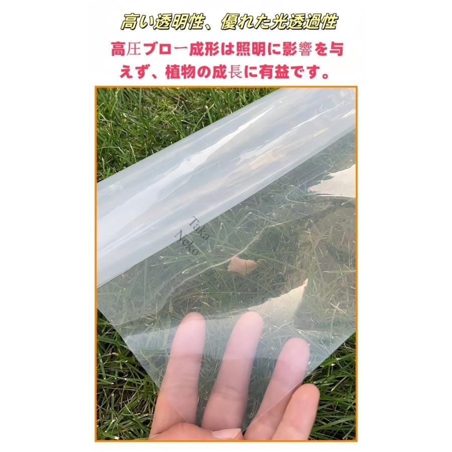 植物栽培 温室フィルム