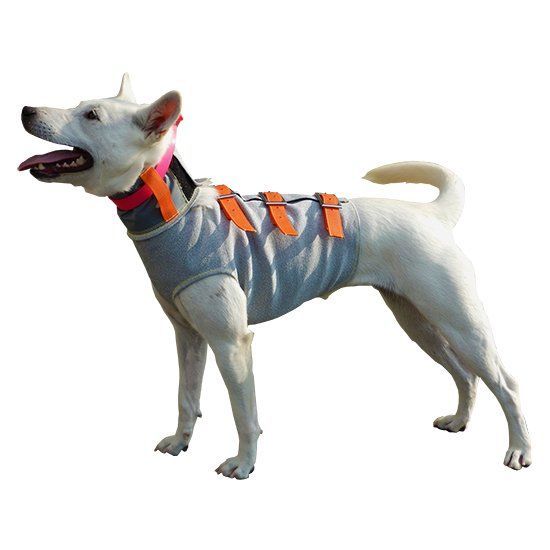 猟犬用耐切創ドッグベスト Spectra Vest Hunter Orange 猟犬用耐切創ドッグベスト