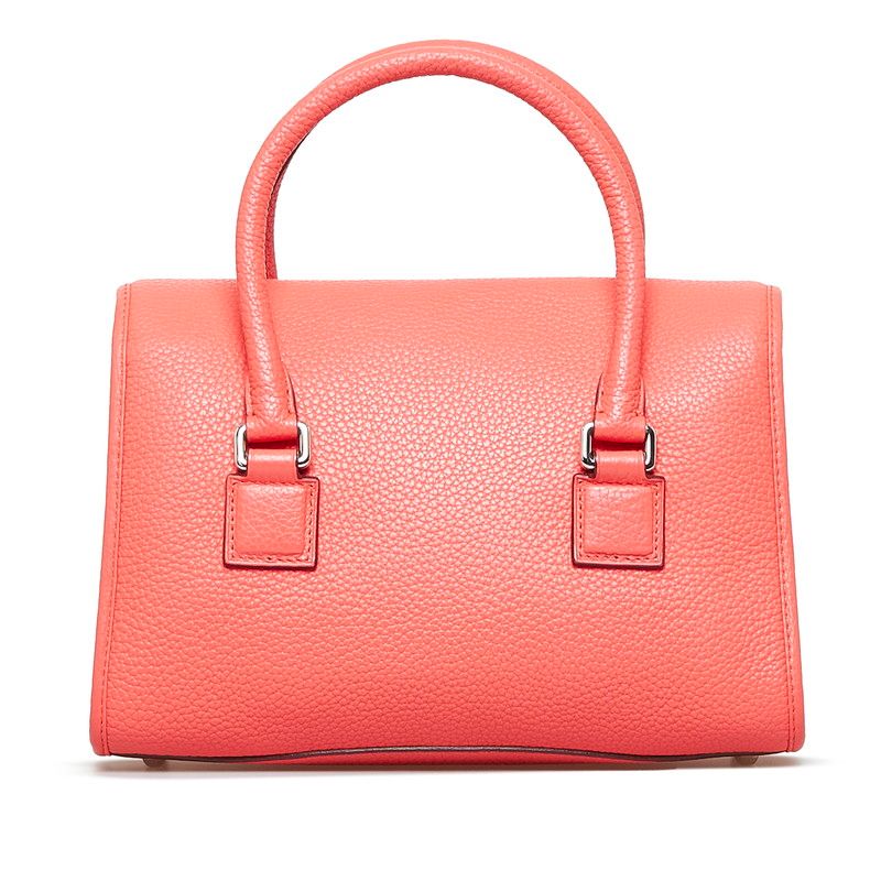 ロエベ アラモ28 ハンドバッグ ショルダーバッグ 2WAY ファイナル