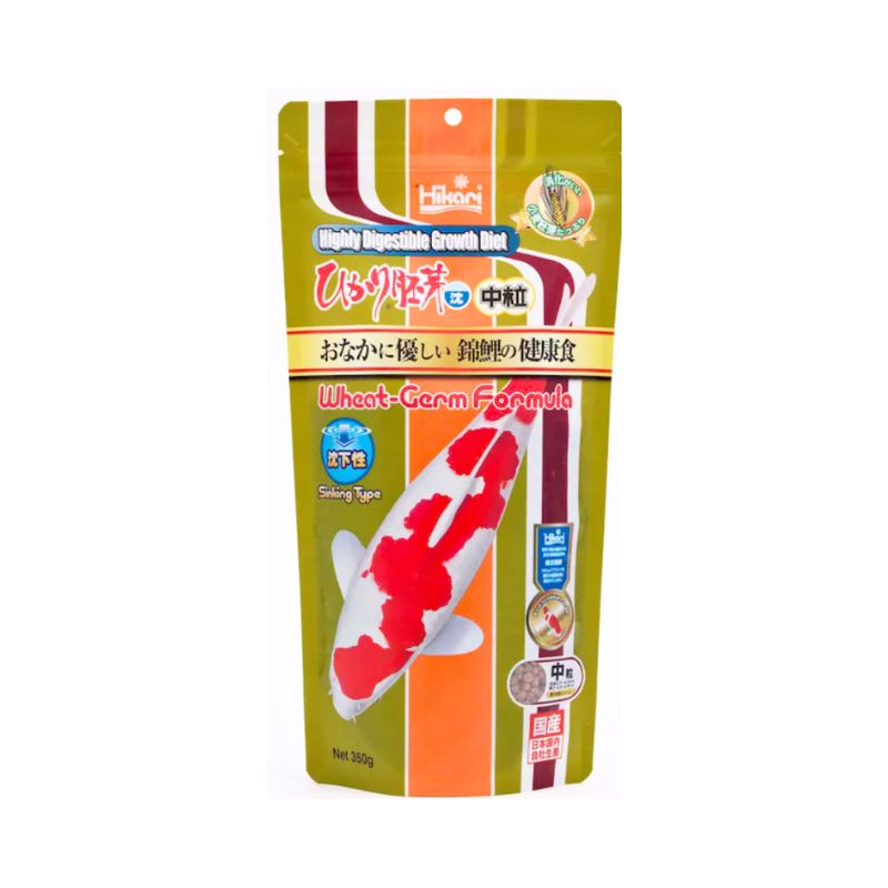 キョーリン ひかり胚芽 沈下 中粒 ３５０ｇ×30袋セット 錦鯉 鯉のエサ 鯉の餌 錦鯉用飼料 錦鯉フード 沈下性 大容量 まとめ買い お徳用 業務用