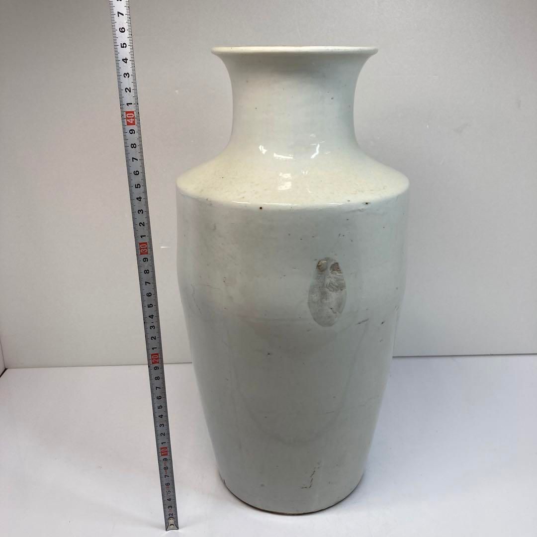 東Y6-0311④トコヒ