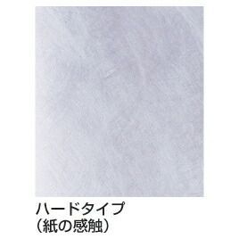 223787 サクラクレパス