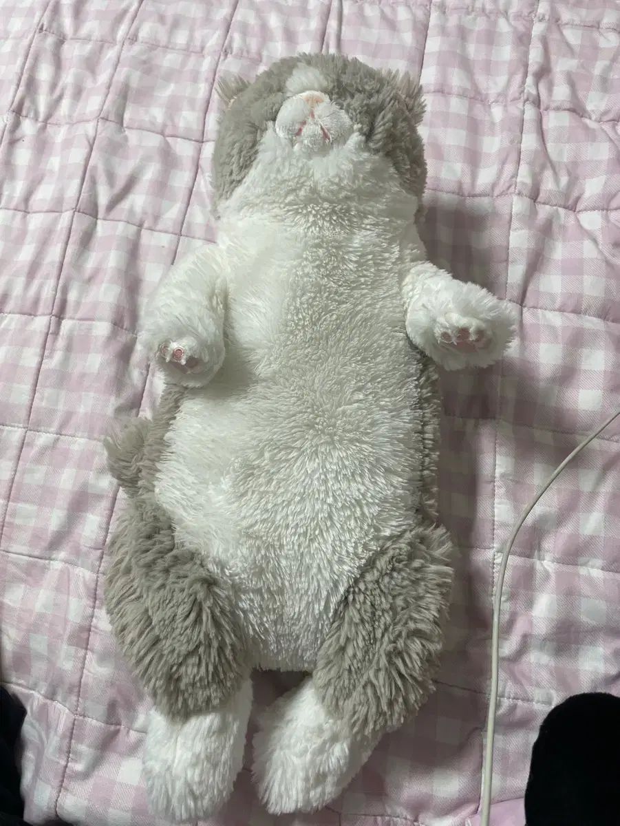 東京ディズニーランド おしゃれキャット マリー ぬいぐるみ サンアンド