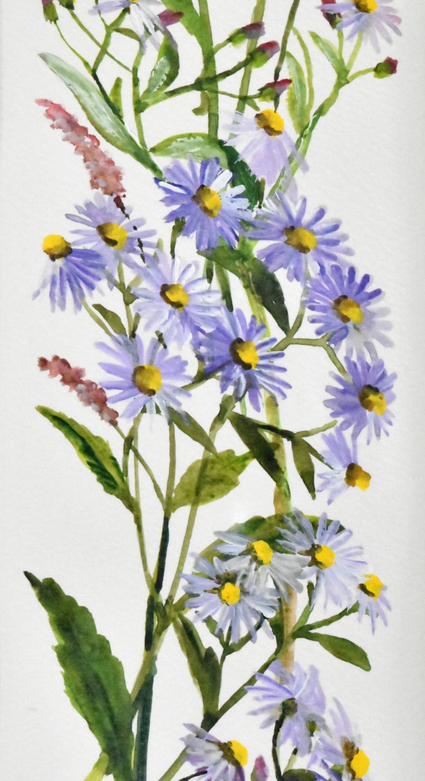 草花の人気画家