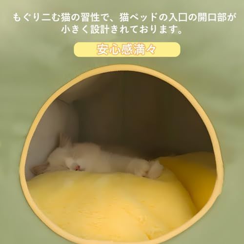 通年利用