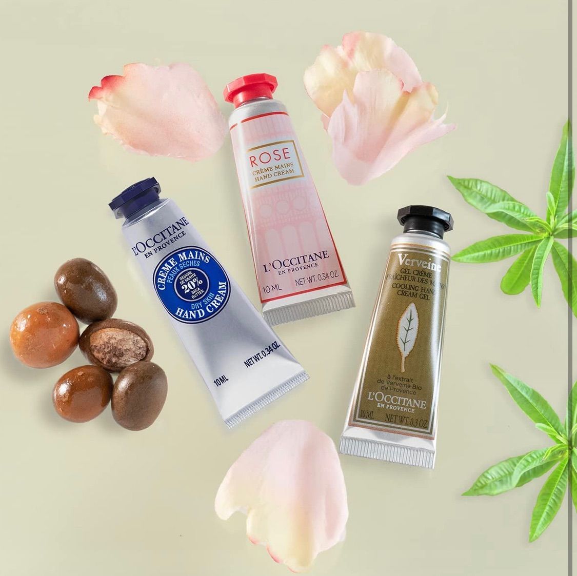 最も優遇の L'OCCITANE ロクシタンミニハンドクリーム 3個セット fawe.org