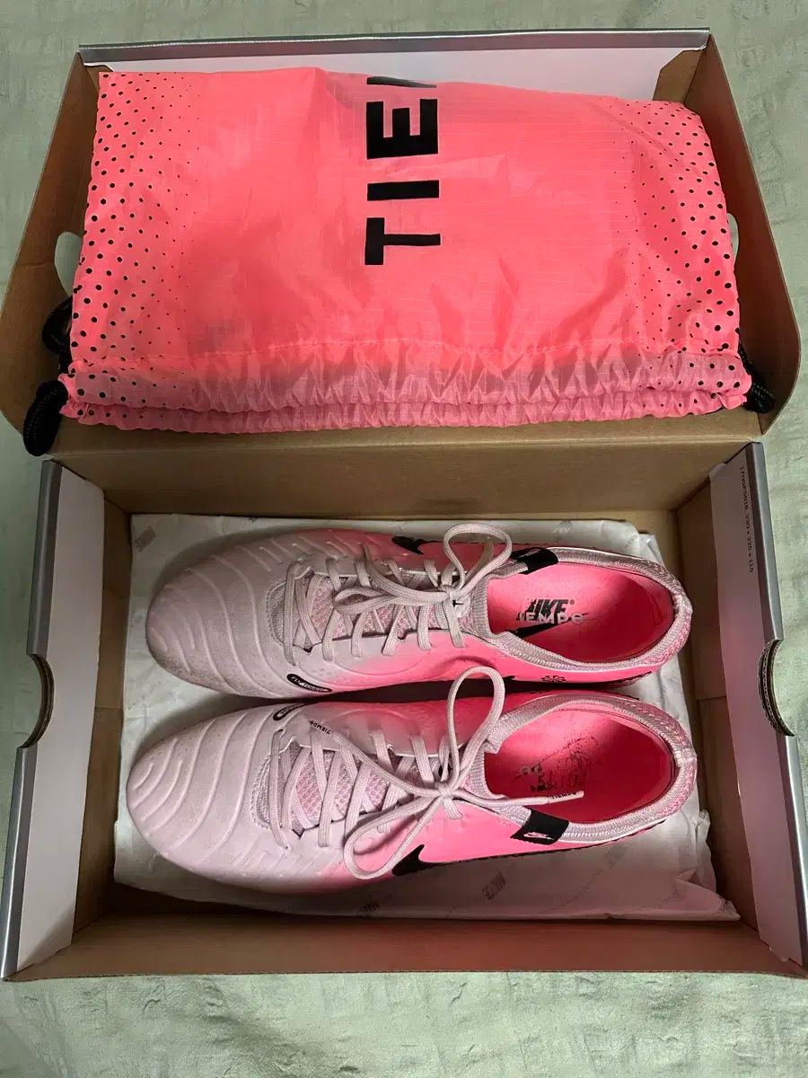 ナイキ ティエンポ レジェンド 10 エリート FG 280