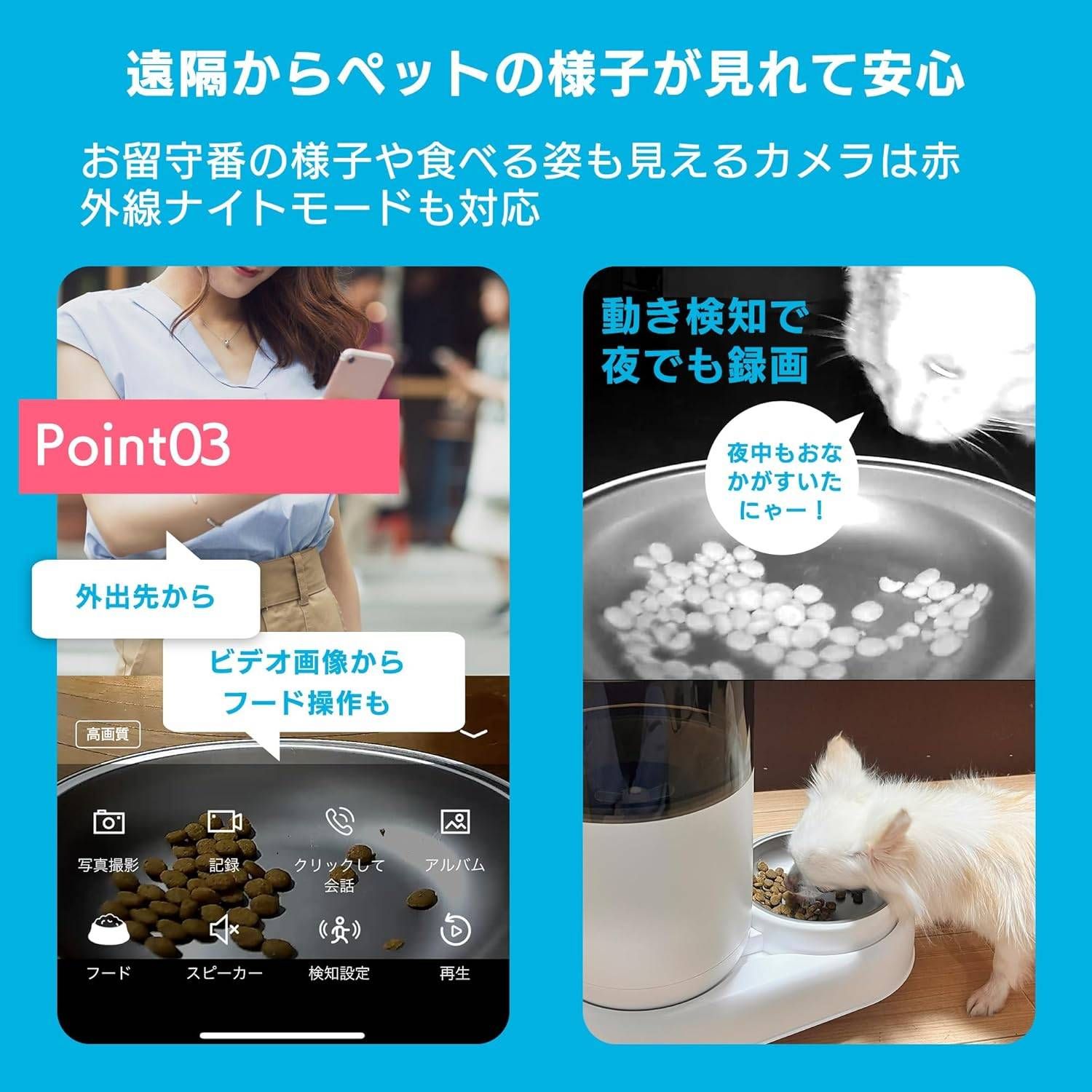 猫 犬