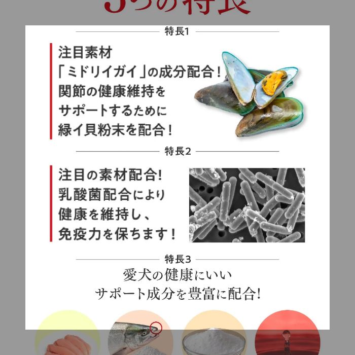 公式ショップ】OralForce1 オーラルフォースワン Dpets 10包×2箱