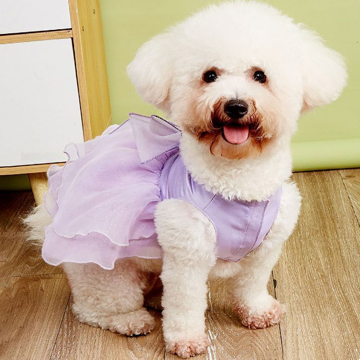 楽天市場】犬 ドレス 犬 ウエディングドレス ペットのドレス