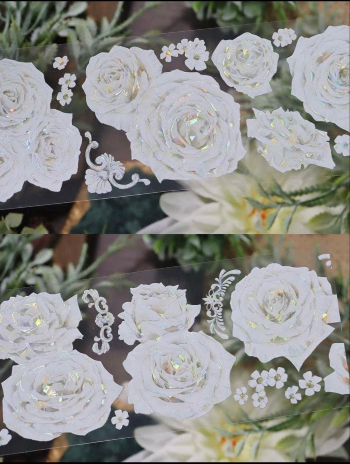 贝壳光 雪韵 6cm×5m 100cm|loop 海外マスキングテープ SKLAD-KIRPICHA_RU