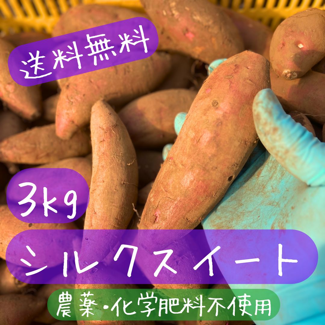 セール中新品 農薬化学肥料不使用シルクスイート - 食品