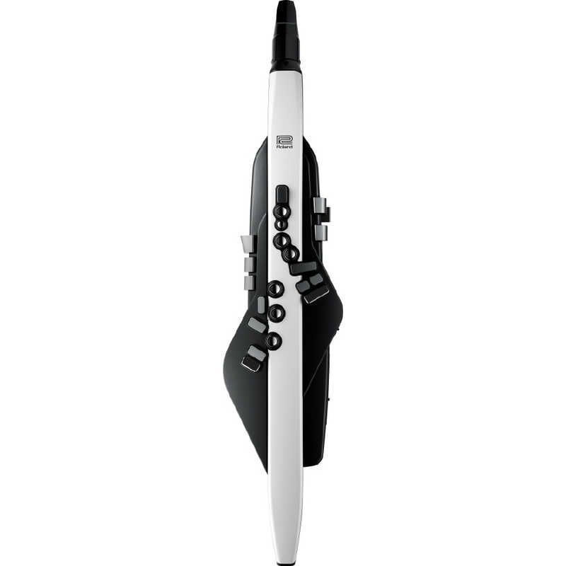 送料無料 ♥ 未開梱 ローランド Roland 電子管楽器 Aerophone エアロフォン Roland AE-20