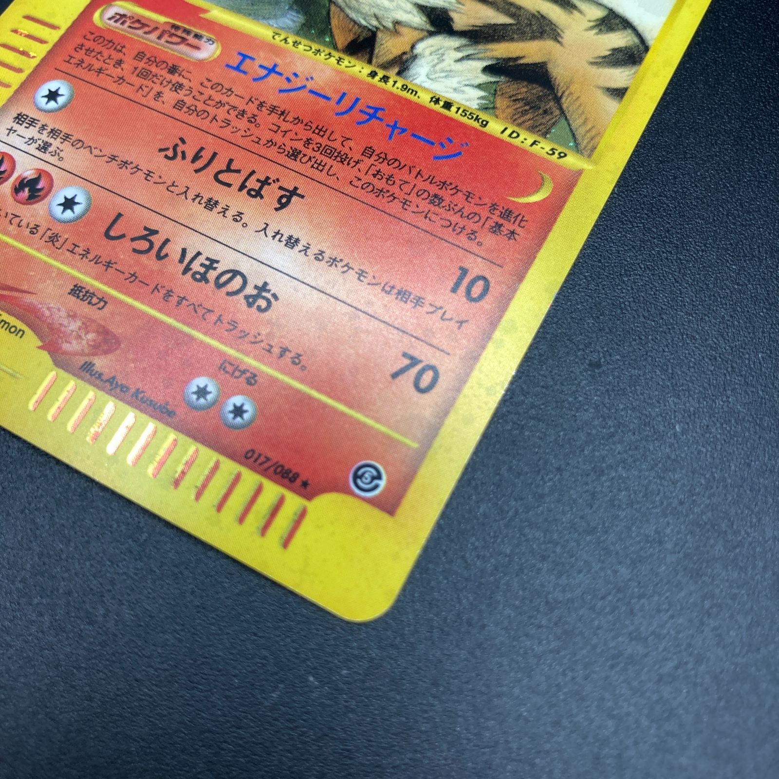 ウインディ eカード 017/088 Arcanine Pokemon 【公式通販】