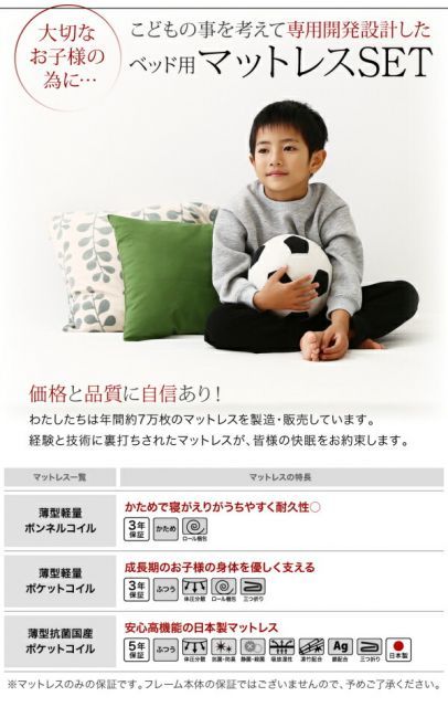 フルガード クイーン