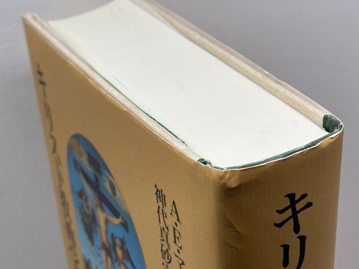 【中古】 キリスト教神学入門/教文館/アリスター・Ｅ．マクグラス キリスト教神学入門 教文館 アリスター・E. マクグラス - メルカリ