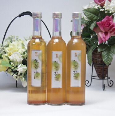 12本セット 生姜の香り 爽快な味わい 生姜梅酒 500ml 井上酒造 百助 大分県