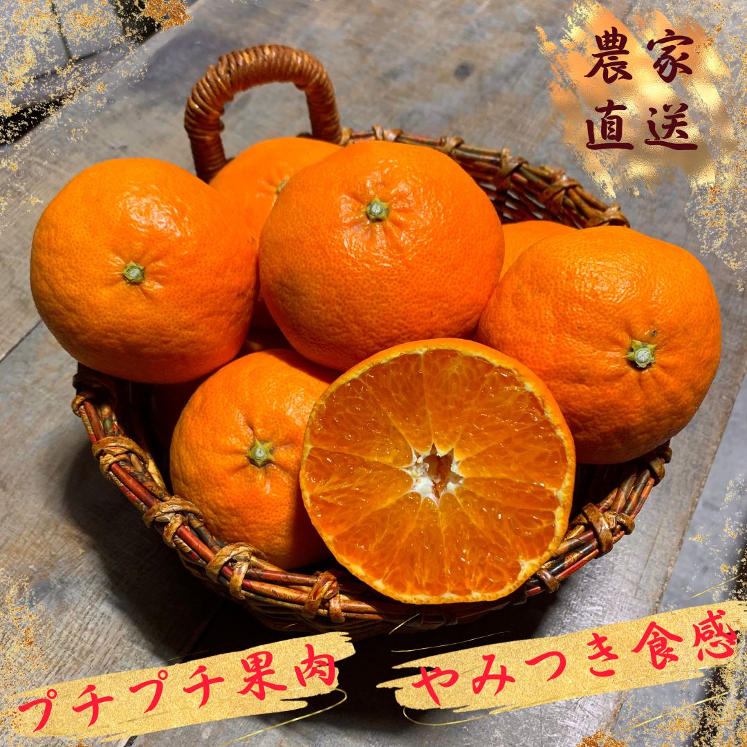 甘平（かんぺい）小玉5kg 愛媛県産 - 果物